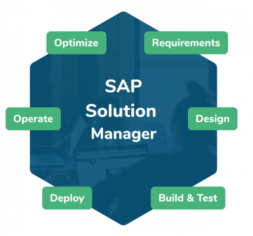 SAP Solution Manager Services