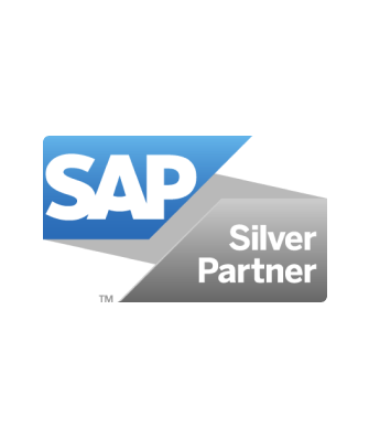 SAP Solution Manager Services