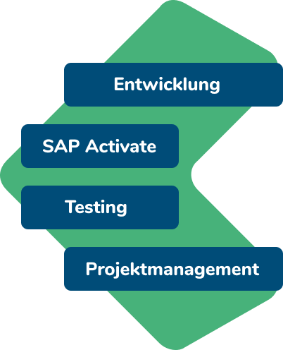 Agiles Projektmanagement in SAP