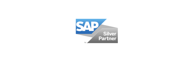sap solution manager services