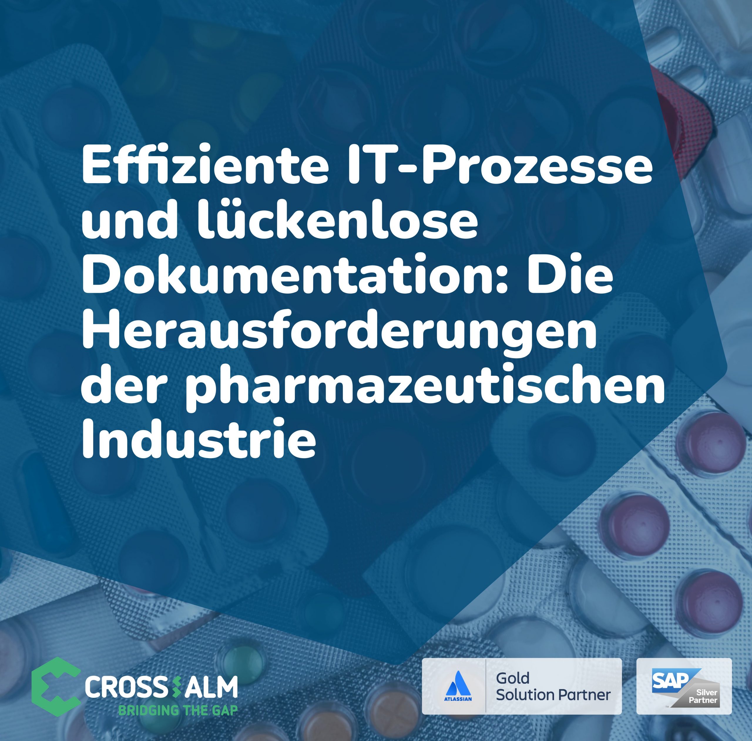 IT-Prozesse Pharma