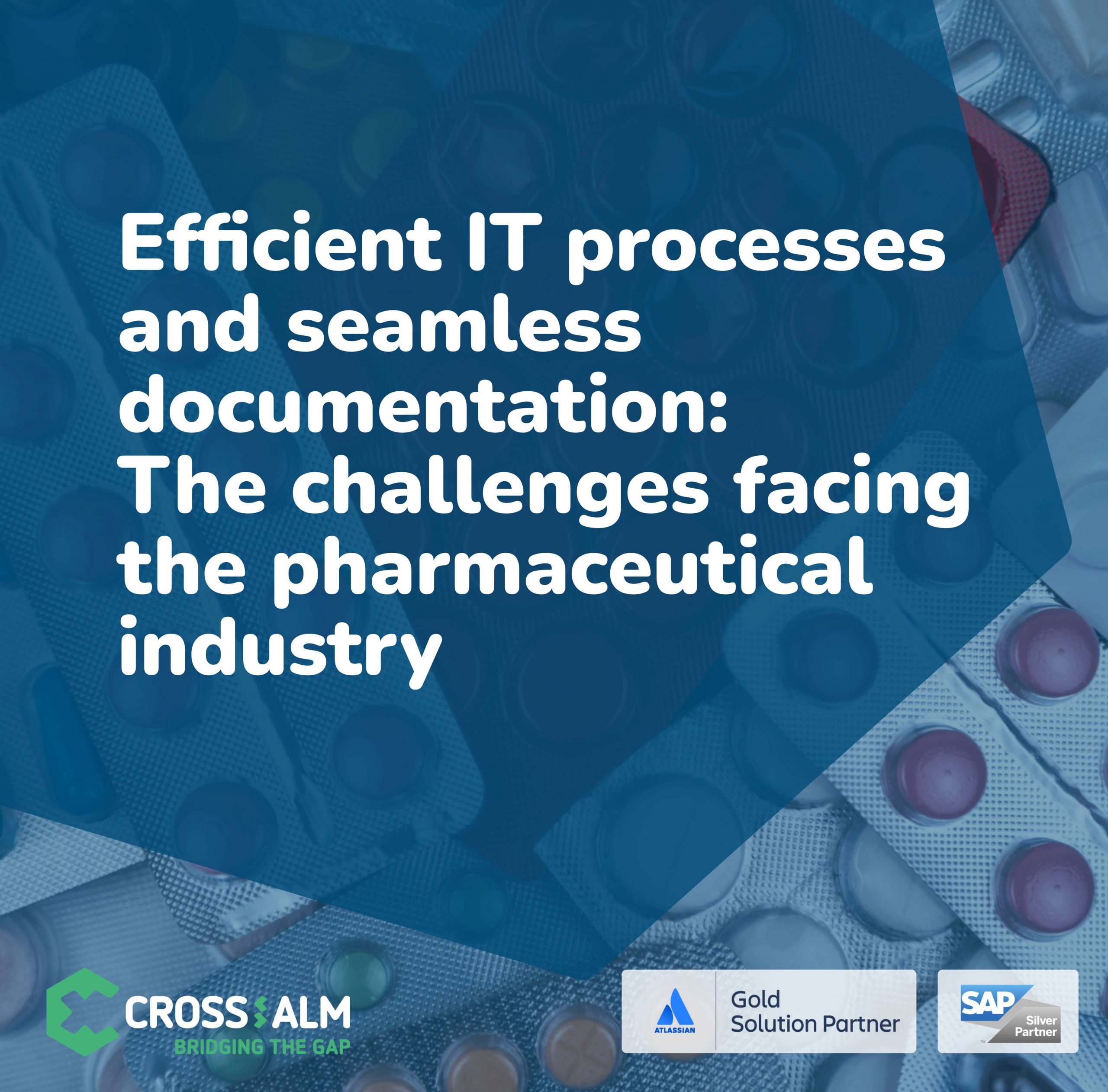 IT Process - Pharmaceutical