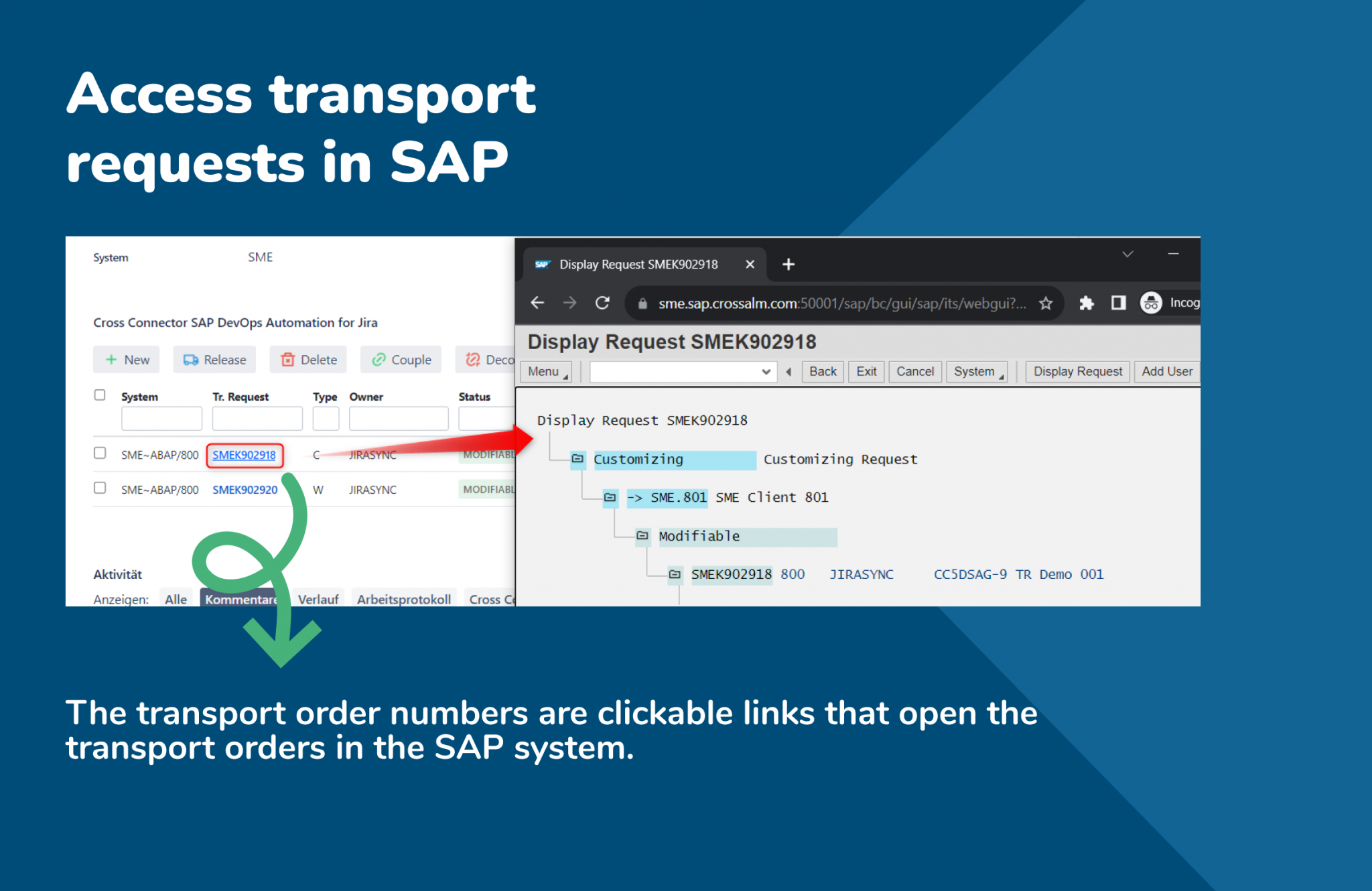 Access transport requests in SAP